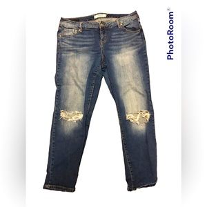 TORRID Distressed Jeans